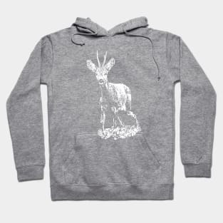 Roe buck Hoodie